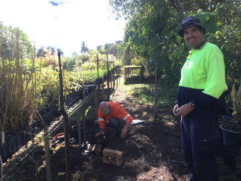 Conservation Volunteers Australia Townsville - Ocean View Nursery - Flights 1