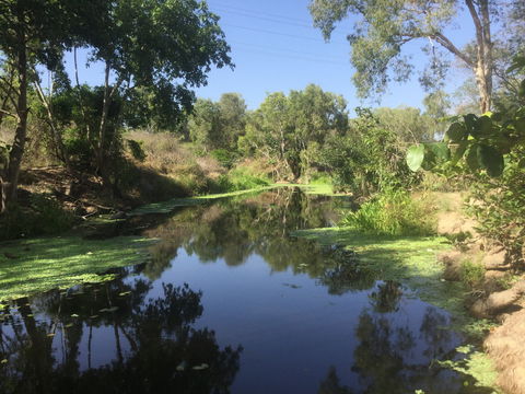 Conservation Volunteers Australia Townsville - Creekwatch - Flights 0