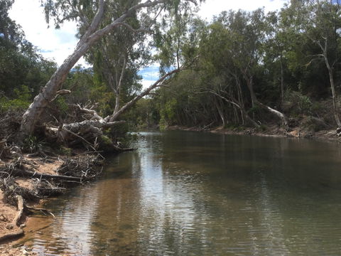 Conservation Volunteers Australia Townsville - Creekwatch - Flights 2
