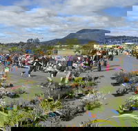 Hobart Showground Sunday Market - Weekly - Flights
