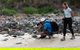 Lord Howe Island Bird Week - thumb 1