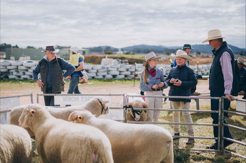 Mudgee Small Farm Field Days - Flights 0