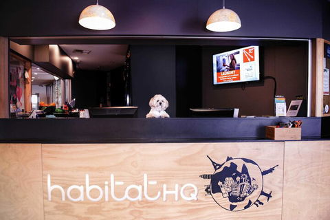 Habitat HQ - Hostel - Flights 3