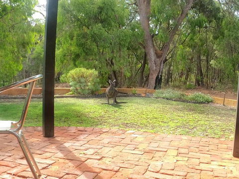 Yallingup Pet Friendly Bush Retreat - Flights 5