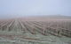 Vineyard Cottage BnB - thumb 5