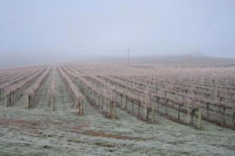Vineyard Cottage BnB - Flights 5