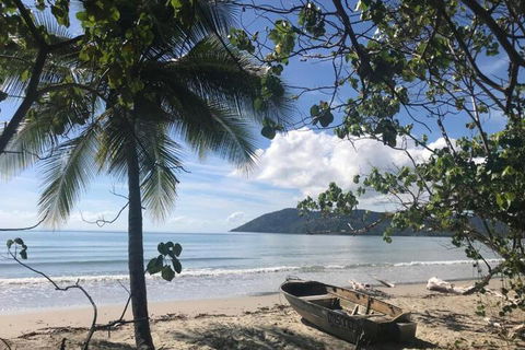 Daintree Rainforest Beach House - Flights 4