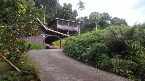 Daintree Holiday Homes La Vista - Flights 4