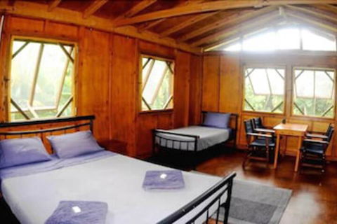 Daintree Rainforest Bungalows - Flights 5