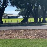 Yaringa Cottage...by The Sea - Flights 0