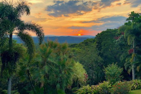 Daintree Manor Bed & Breakfast - Flights 0