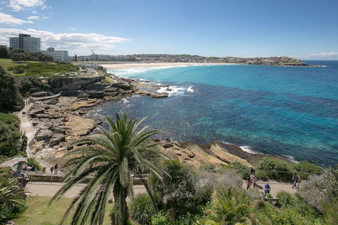 Ultimate Bondi Escape - Flights 4