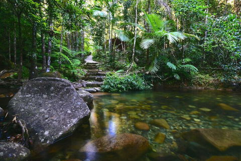 Daintree Cascades - Flights 2