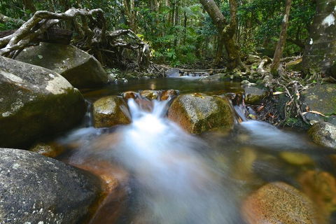 Daintree Cascades - Flights 1