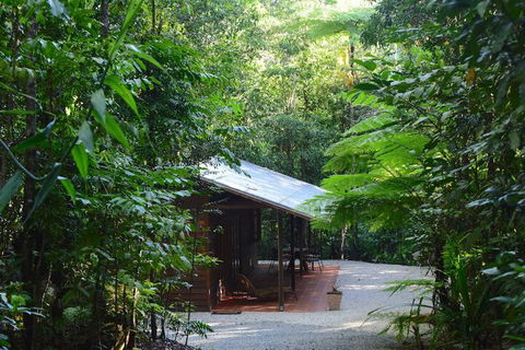 Daintree Cascades - Flights 3
