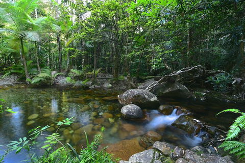 Daintree Cascades - Flights 5