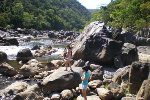 Daintree Village Hideaway - Flights 4