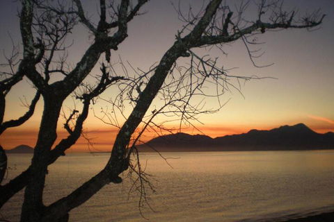 Daintree Village Hideaway - Flights 3