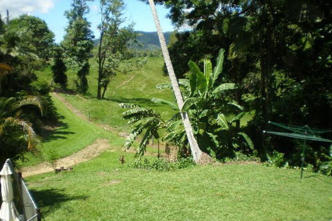 Daintree Village Hideaway - Flights 5