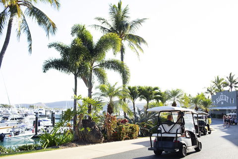 Yacht Club Villas - Flights 1