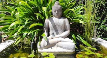 Vatu Sanctuary - Flights 4
