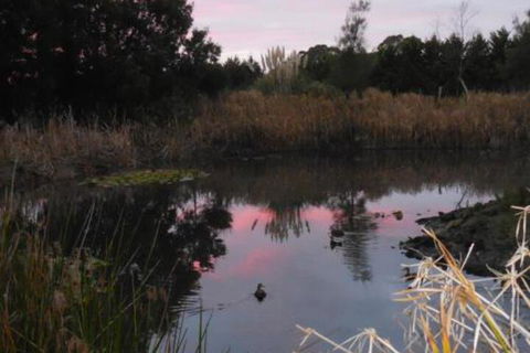 Bunjil Farm - Flights 7