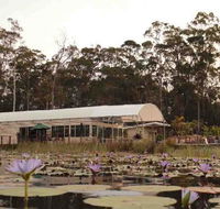 Abundance Cafe and Garden Centre - Flights