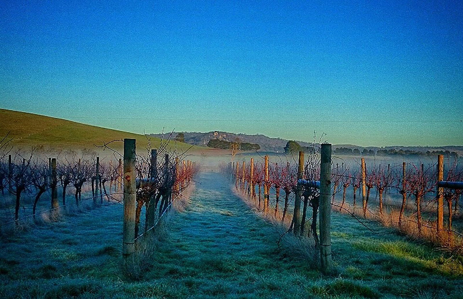 Allendale VIC Flights