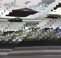 D Cafe - Flights