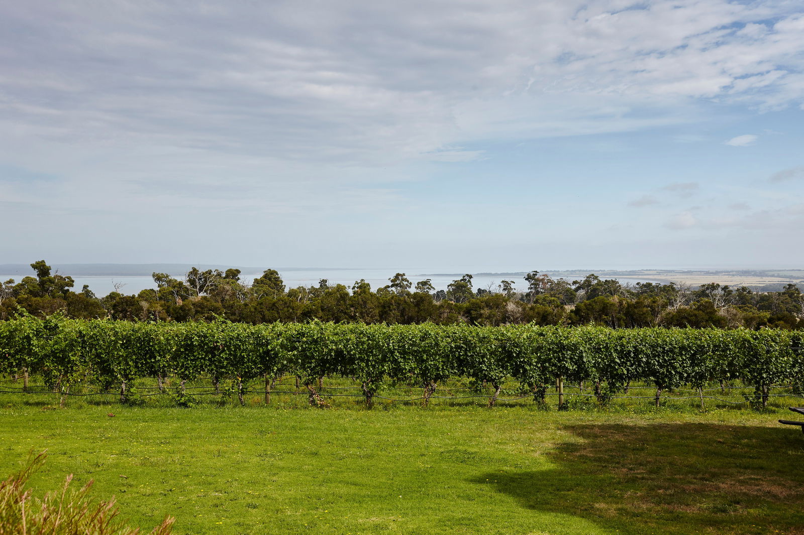 Adams Estate VIC Flights