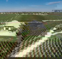 Parker Coonawarra Estate - Flights