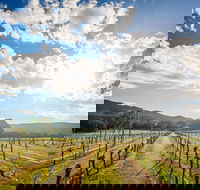 Fallen Giants Vineyard - Flights