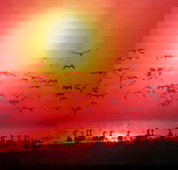 TINH and LAN Vietnamese Restaurant - Flights