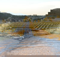 Stone Bridge Wines - Flights