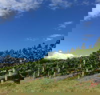 Freycinet Vineyard - Flights