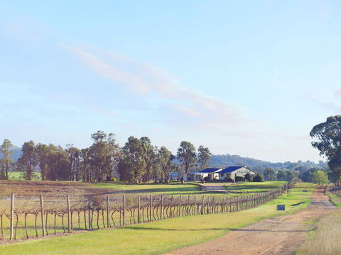 Blacklea Vineyard And Olive Grove - Flights 0
