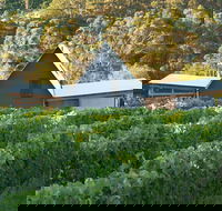Two Bud Spur Vineyard - Flights