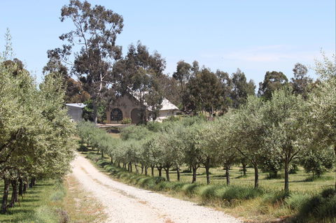 L'Oliveraie Olive Grove - Flights 0