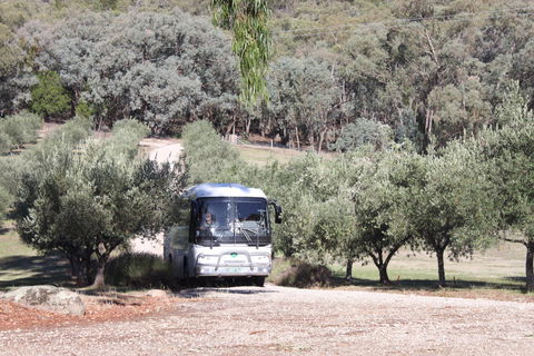 L'Oliveraie Olive Grove - Flights 2