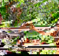 Jaques Coffee Plantation - Flights