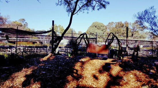 Hazelmere WA Flights