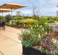 Arid Lands Botanic Garden Cafe - Flights