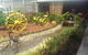 The Gateway Hotel - thumb 0
