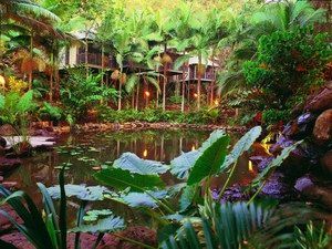 Daintree Eco Lodge & Spa - Flights 0