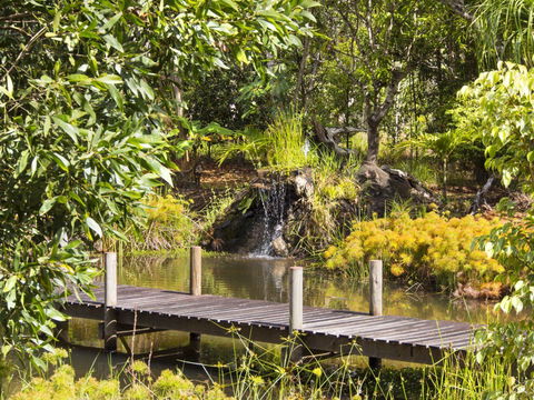 Cedar Park Rainforest Resort - Flights 0