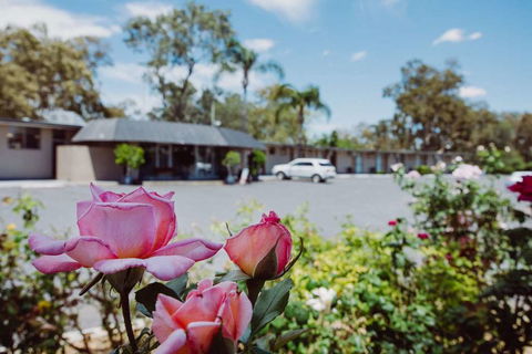 Artesian Spa Motor Inn - Flights 2