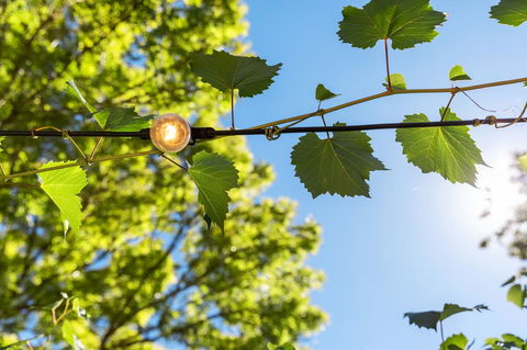 Adelaide Hills Retreats - Flights 32