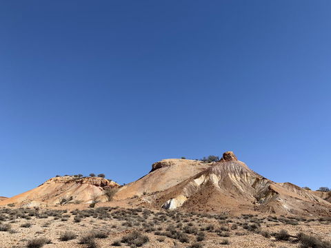 Opal Inn Hotel, Motel, Caravan Park - Flights 14