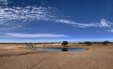 Opal Inn Hotel, Motel, Caravan Park - Flights 10