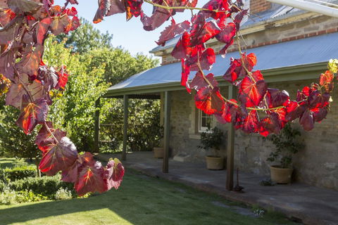 Grand Cru Estate Homestead - Flights 1
